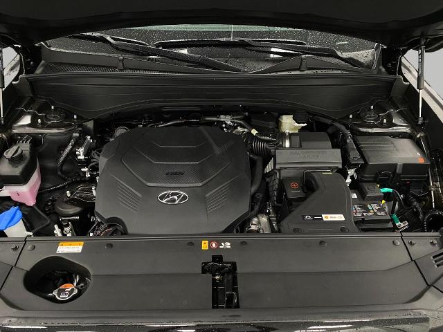 2025 Hyundai PALISADE Vehicle Photo in Appleton, WI 54913