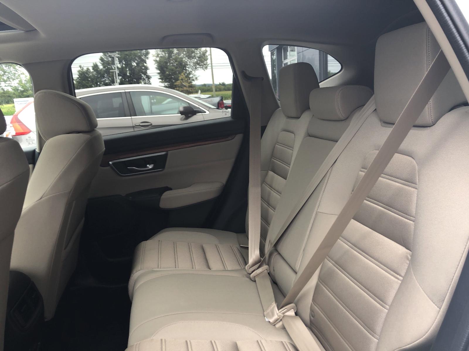 2020 Honda CR-V Vehicle Photo in Mechanicsburg, PA 17050