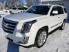 Used 2020 Cadillac Escalade Luxury with VIN 1GYS4BKJ1LR280679 for sale in Cavalier, ND