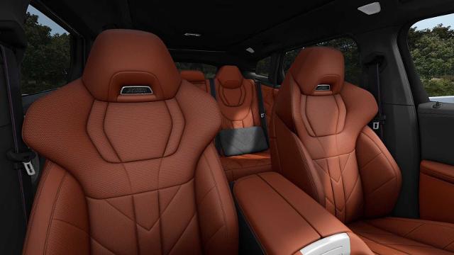 2025 BMW XM Vehicle Photo in GRAPEVINE, TX 76051