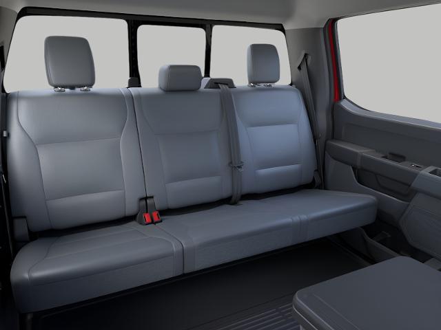2025 Ford Super Duty F-250 SRW Vehicle Photo in Neenah, WI 54956