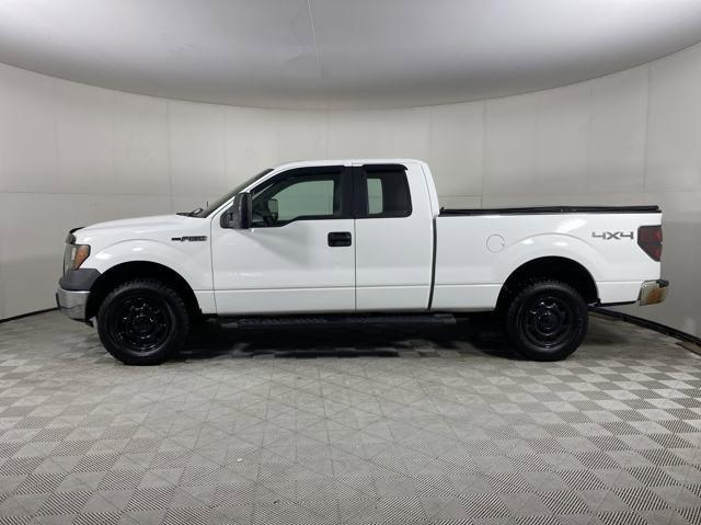 2011 Ford F-150 Vehicle Photo in MEDINA, OH 44256-9001