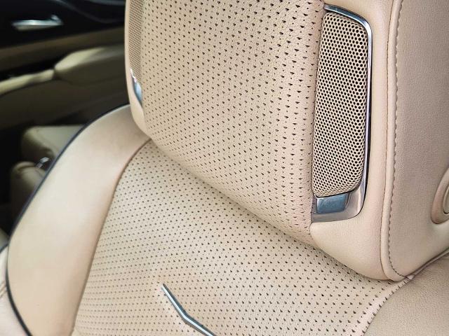 2021 Cadillac Escalade Vehicle Photo in DENTON, TX 76210-9321