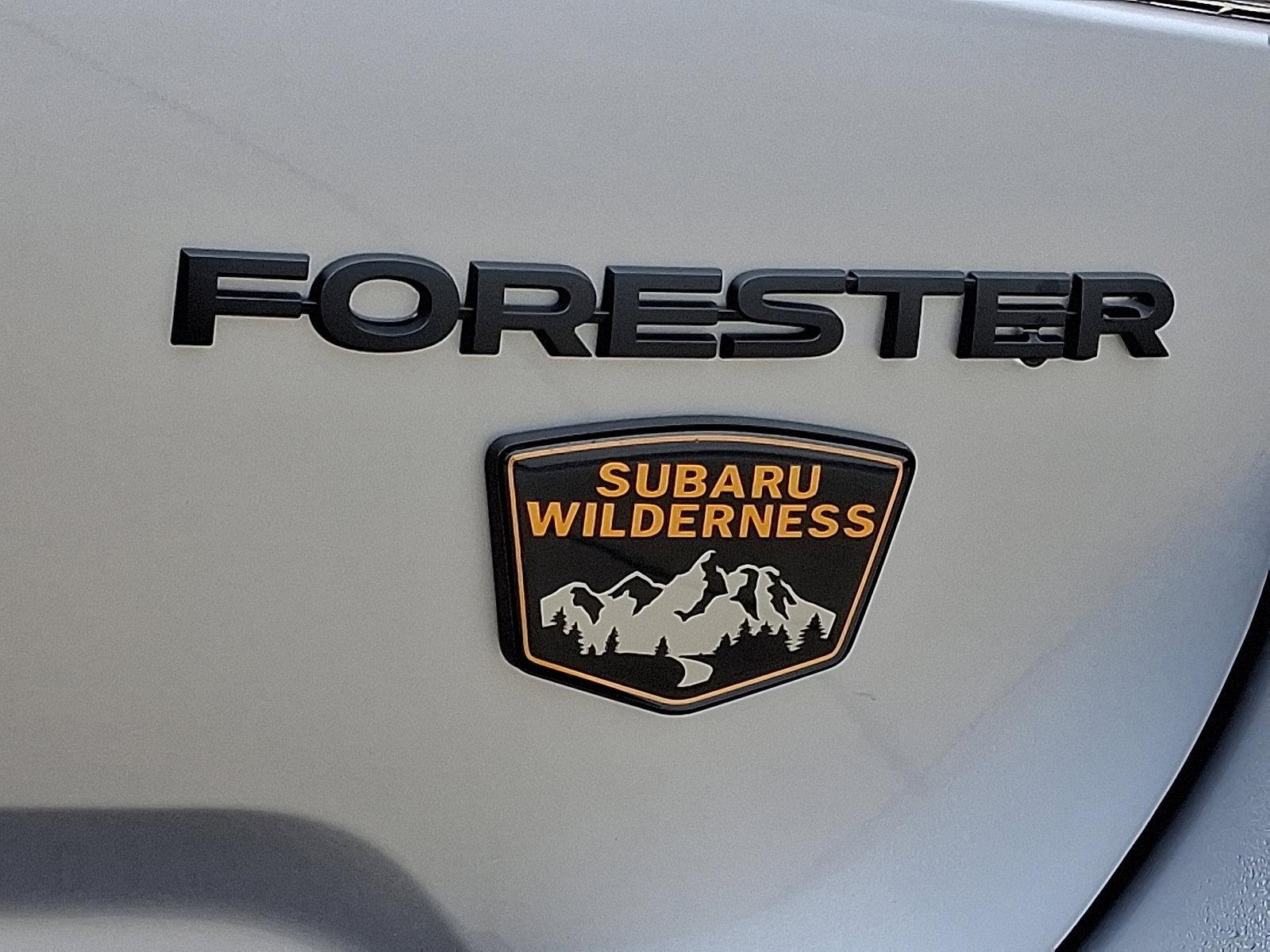 2025 Subaru Forester Vehicle Photo in Easton, PA 18045