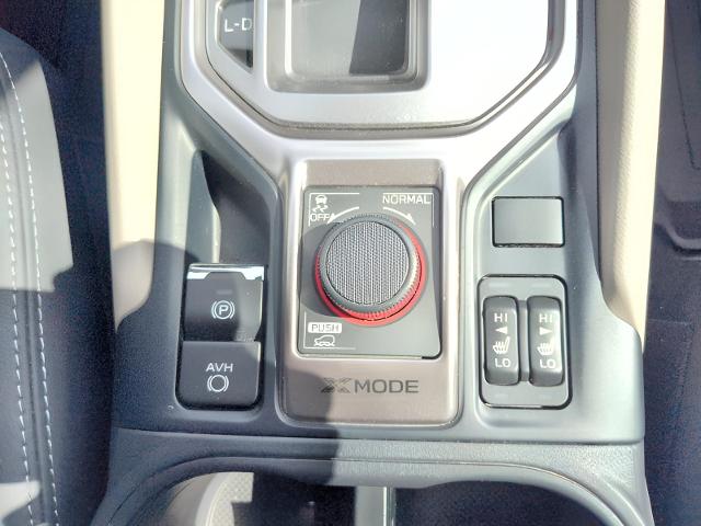 2023 Subaru Forester Vehicle Photo in Green Bay, WI 54304