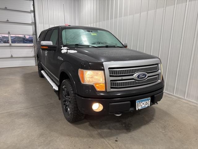 2011 Ford F-150 Vehicle Photo in GLENWOOD, MN 56334-1123