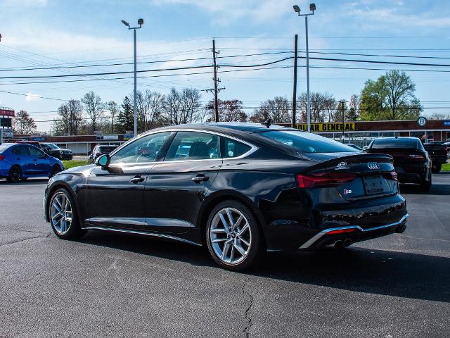 2021 Audi S5 Sportback Vehicle Photo in MADISON, IN 47250-1611