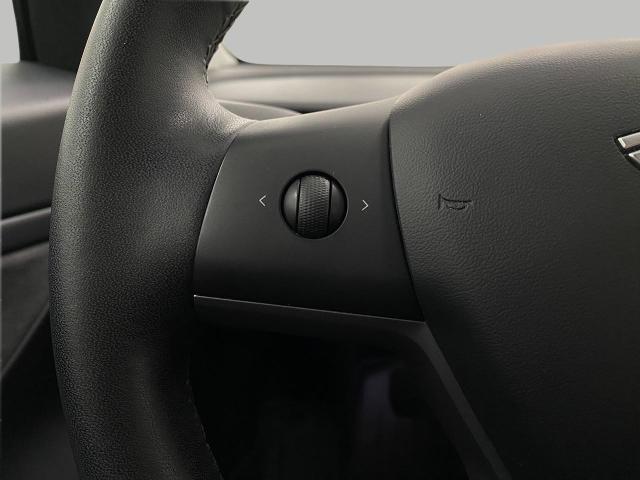 2020 Tesla Model 3 Vehicle Photo in Appleton, WI 54913