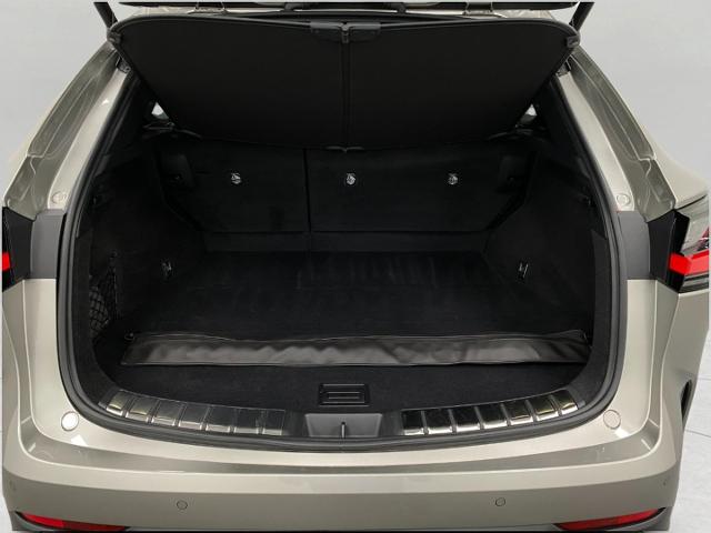 2025 Lexus NX 350 Vehicle Photo in Appleton, WI 54913