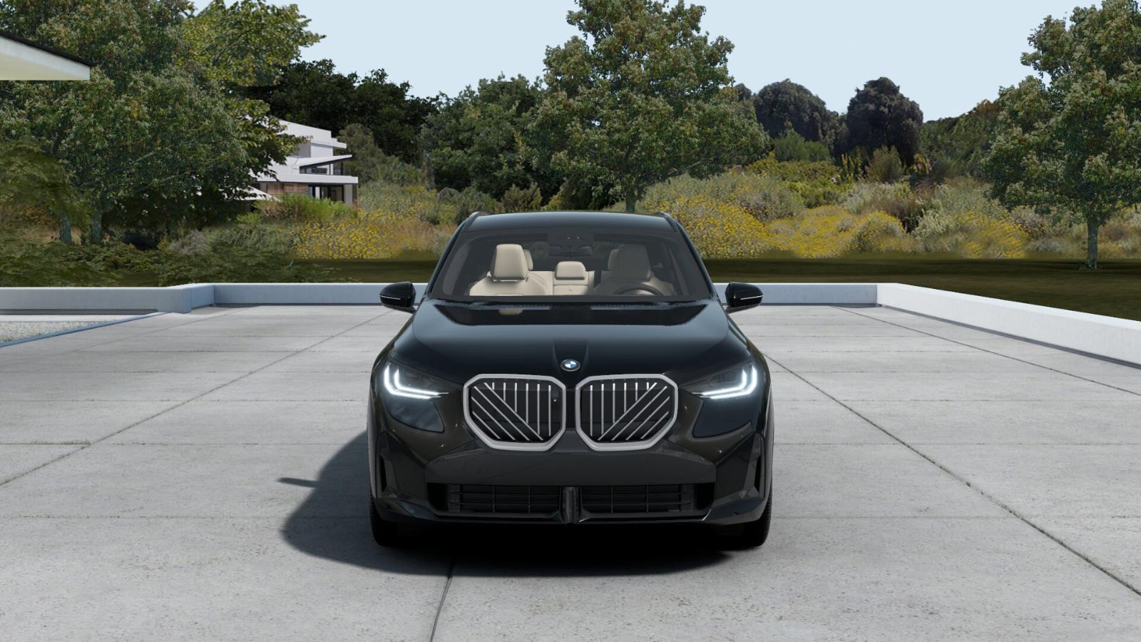 2025 BMW X3 30 xDrive Vehicle Photo in GRAPEVINE, TX 76051