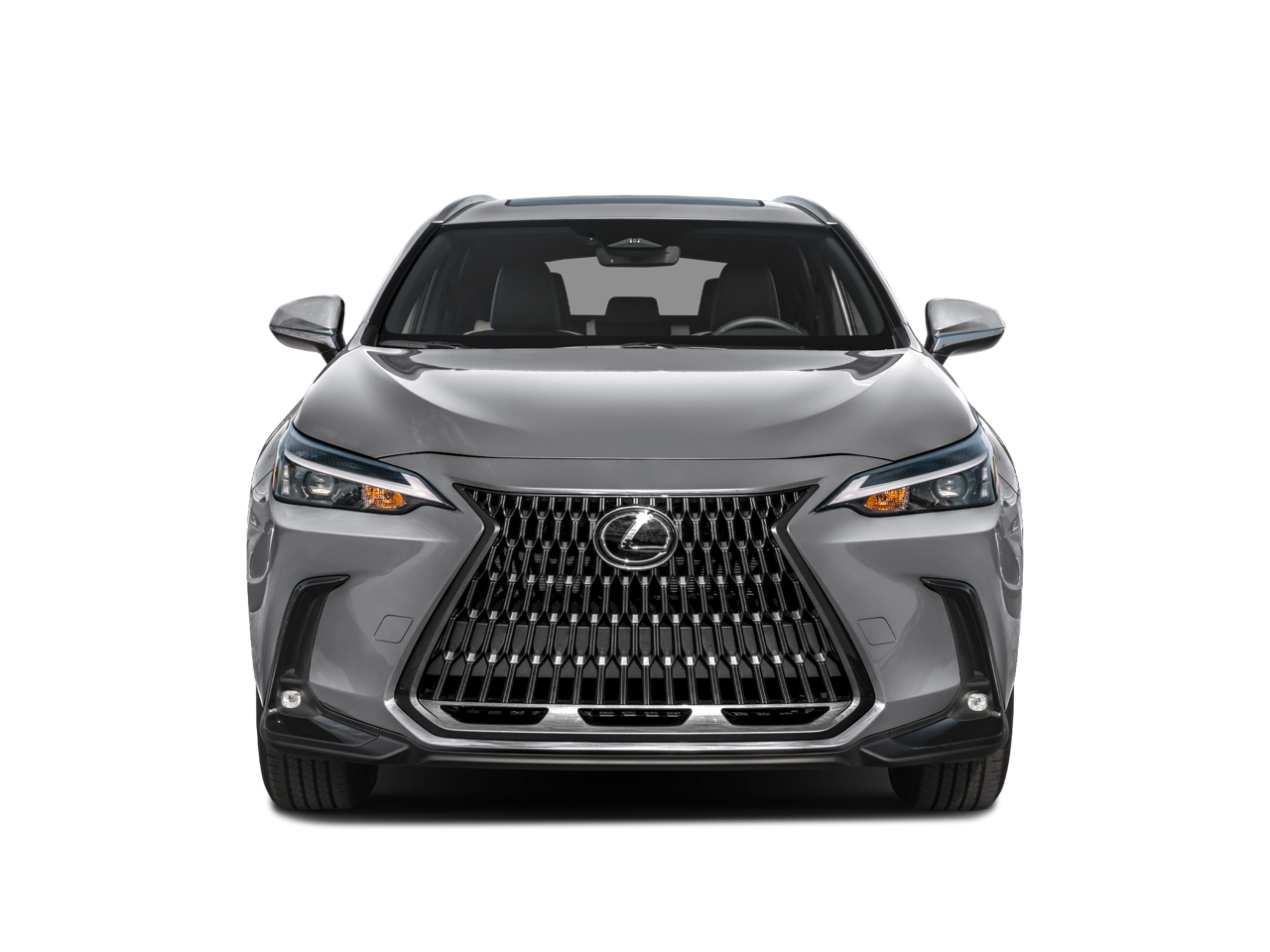 2024 Lexus NX 250 Vehicle Photo in Tulsa, OK 74129