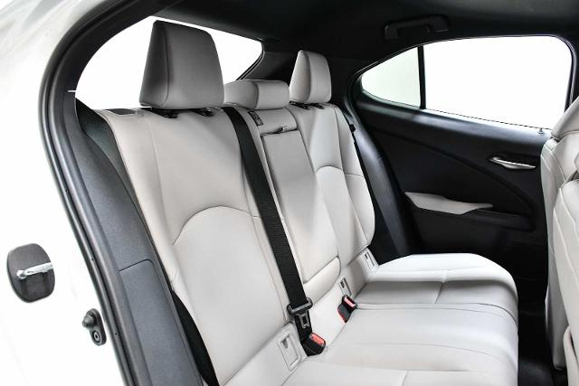 2024 Lexus UX 250h Vehicle Photo in DALLAS, TX 75235