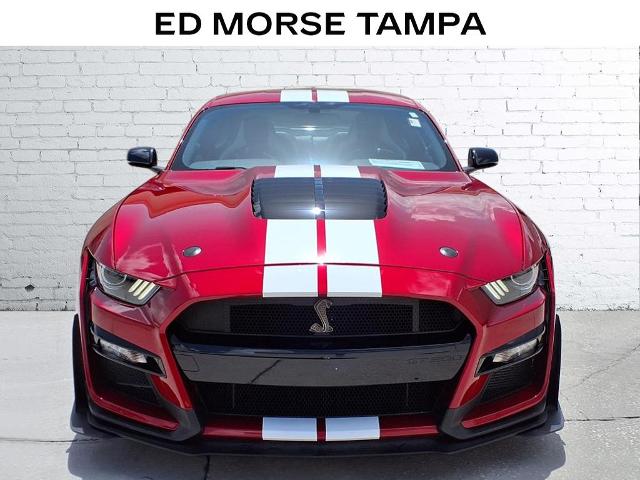 2021 Ford Mustang Vehicle Photo in Tampa, FL 33612