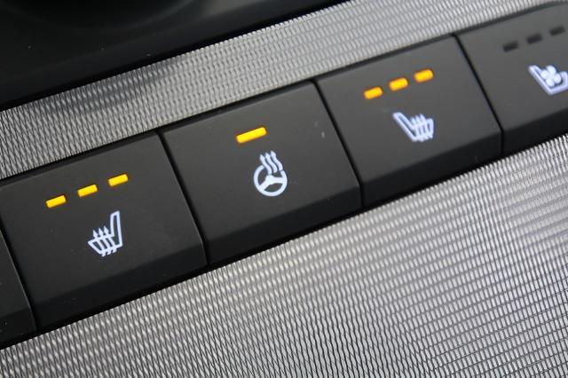 2024 Hyundai PALISADE Vehicle Photo in Green Bay, WI 54304