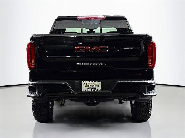 2020 GMC Sierra 1500 Vehicle Photo in PUYALLUP, WA 98371-4149