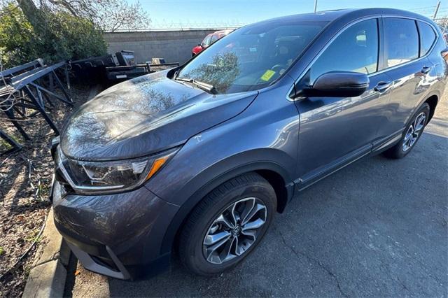 2022 Honda CR-V Vehicle Photo in ELK GROVE, CA 95757-8703