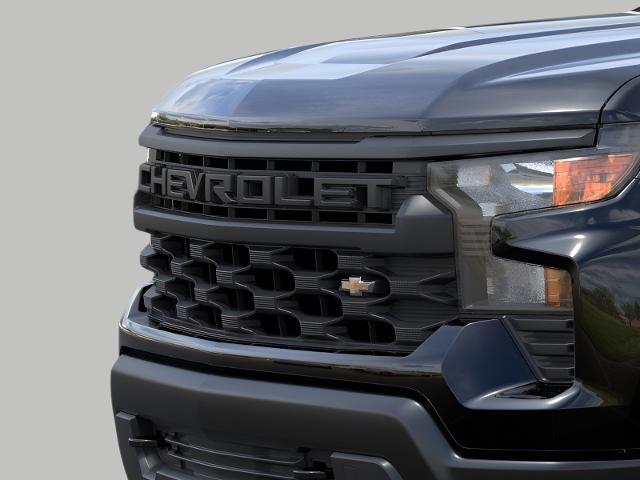 2025 Chevrolet Silverado 1500 Vehicle Photo in Madison, WI 53713