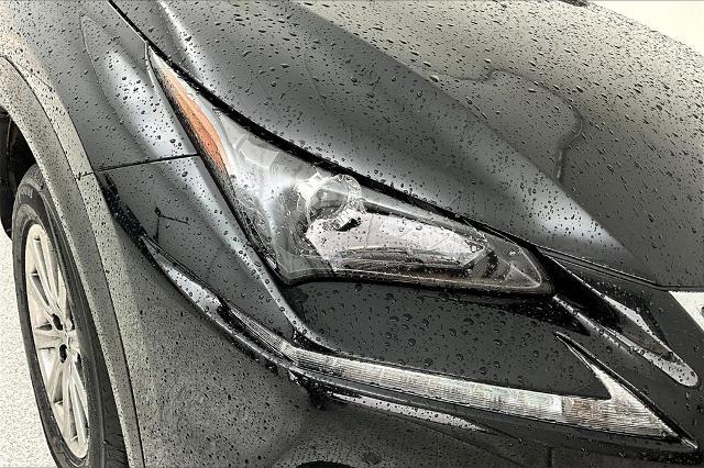 2020 Lexus NX 300h Vehicle Photo in Grapevine, TX 76051