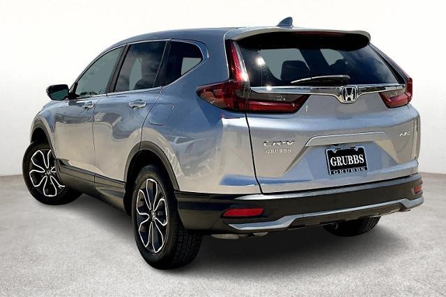 2020 Honda CR-V Vehicle Photo in San Antonio, TX 78230