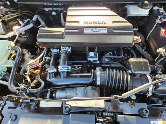 2020 Honda CR-V Vehicle Photo in DENTON, TX 76210-9321