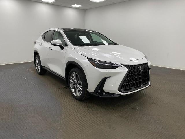 2025 Lexus NX 350 Vehicle Photo in Appleton, WI 54913