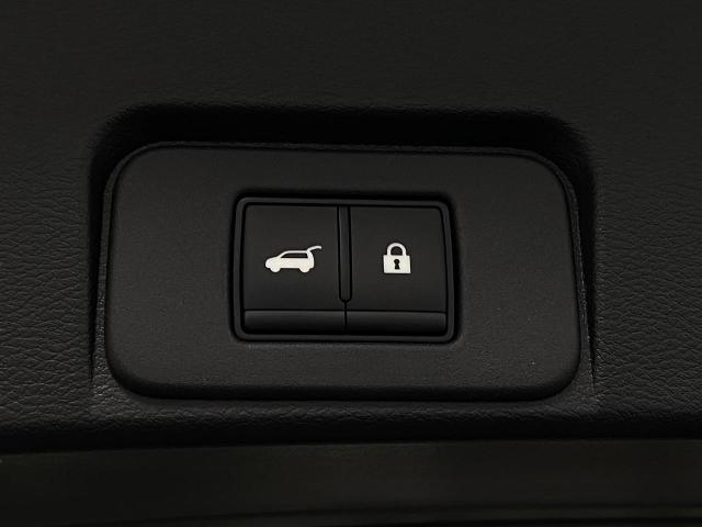 2025 Nissan Rogue Vehicle Photo in Appleton, WI 54913