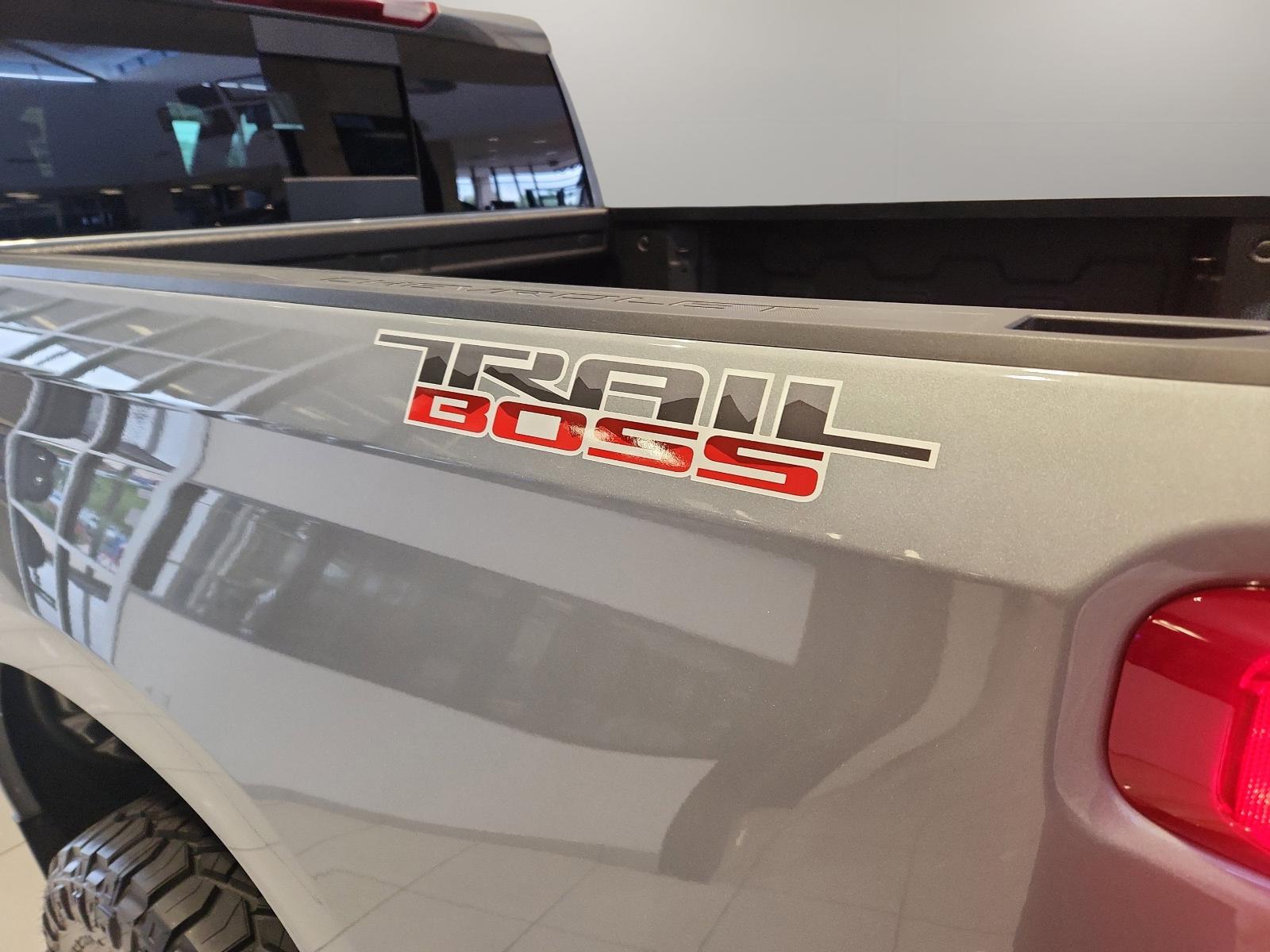 2025 Chevrolet Silverado 1500 Vehicle Photo in GEORGETOWN, TX 78626-7508
