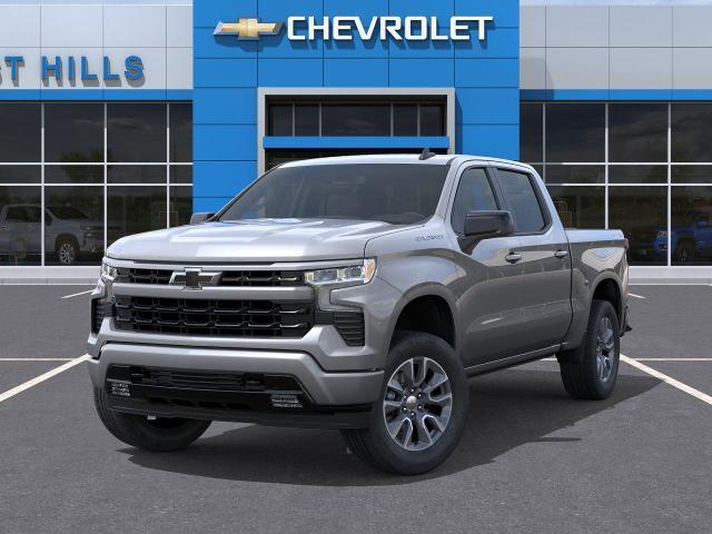 2025 Chevrolet Silverado 1500 Vehicle Photo in Roslyn, NY 11576