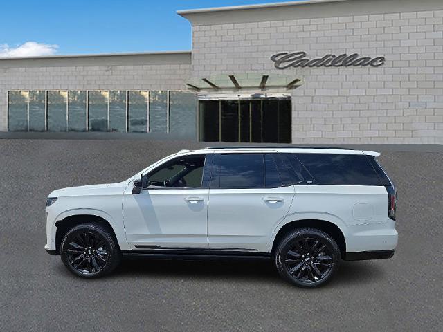 2021 Cadillac Escalade Vehicle Photo in TREVOSE, PA 19053-4984