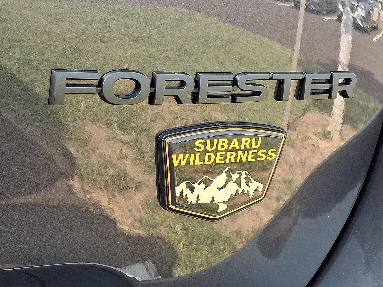 2025 Subaru Forester Vehicle Photo in Easton, PA 18045