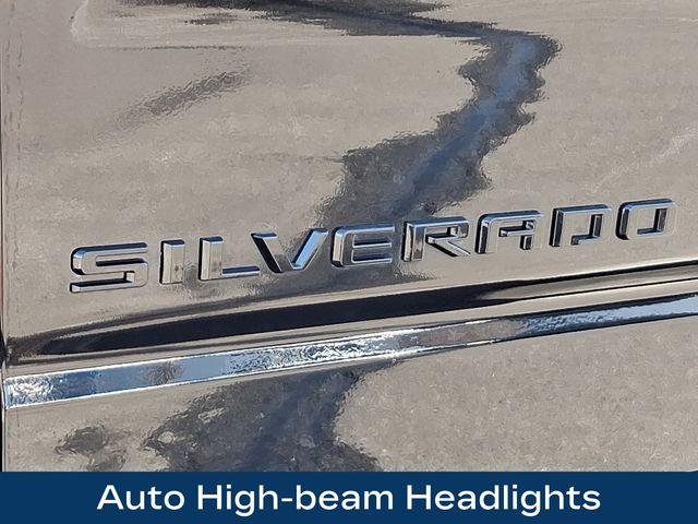 2024 Chevrolet Silverado 1500 Vehicle Photo in PAWLING, NY 12564-3219