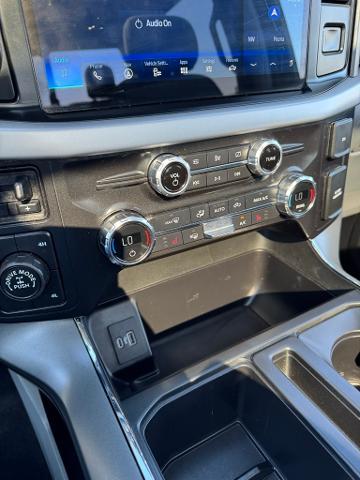 2021 Ford F-150 Vehicle Photo in Peoria, IL 61615