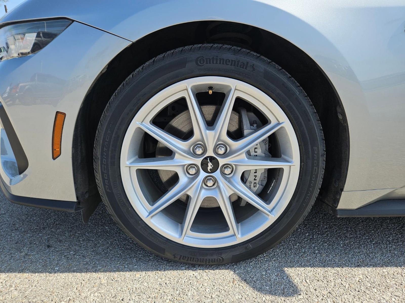 2024 Ford Mustang Vehicle Photo in Seguin, TX 78155