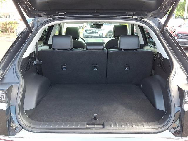 2024 Hyundai IONIQ 5 Vehicle Photo in Philadelphia, PA 19116