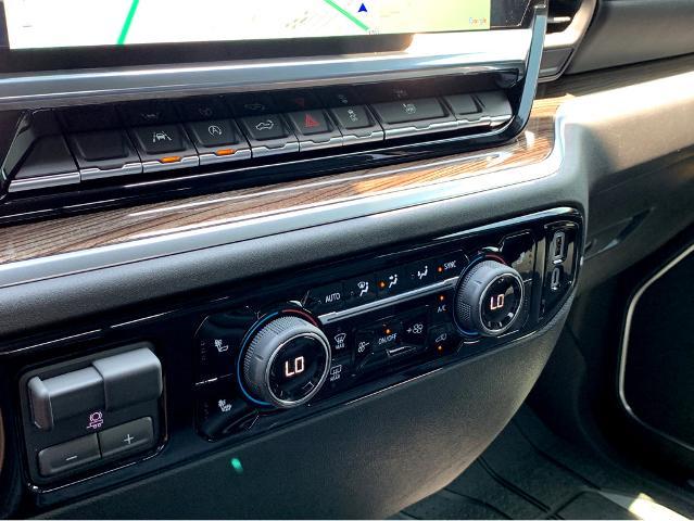 2025 Chevrolet Silverado 1500 Vehicle Photo in BEAUFORT, SC 29906-4218