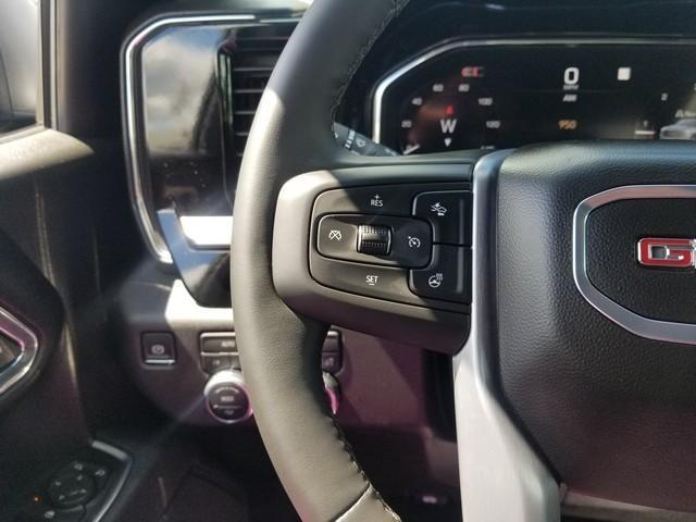 2025 GMC Sierra 1500 Vehicle Photo in ELYRIA, OH 44035-6349