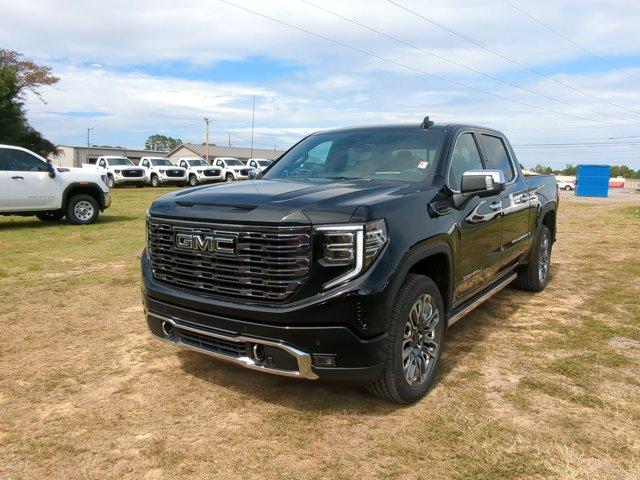 2025 GMC Sierra 1500 Vehicle Photo in ALBERTVILLE, AL 35950-0246