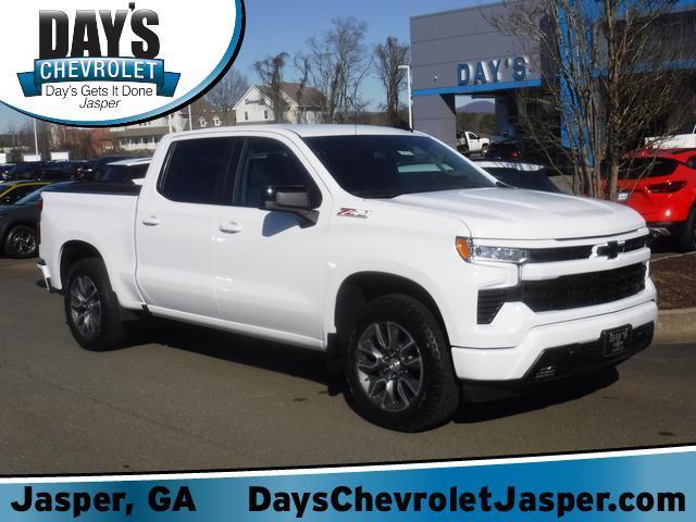 2025 Chevrolet Silverado 1500 Vehicle Photo in JASPER, GA 30143-8655