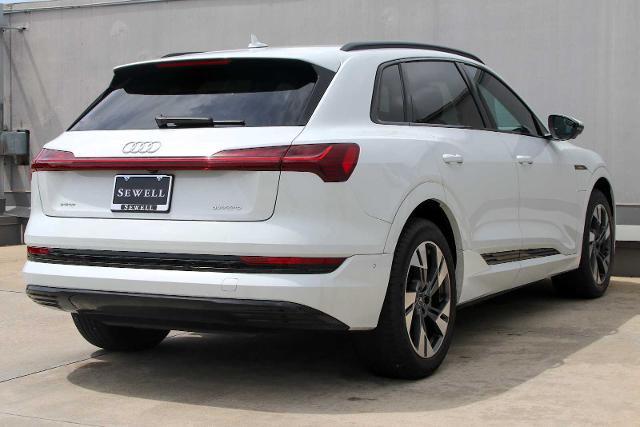 2022 Audi e-tron Vehicle Photo in SUGAR LAND, TX 77478