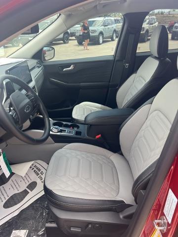 2024 Ford Escape Vehicle Photo in Winslow, AZ 86047-2439