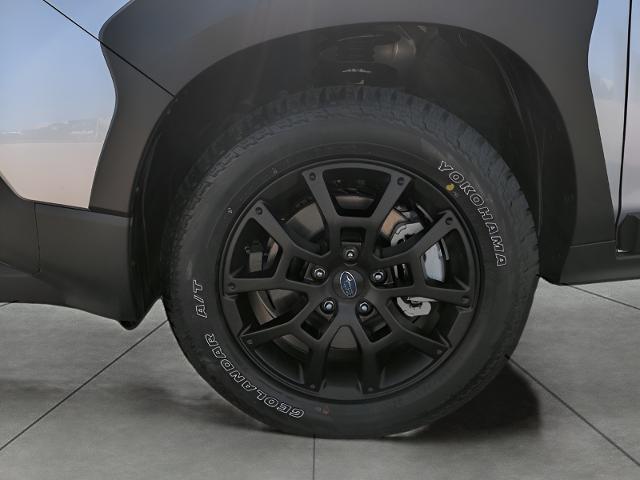 2024 Subaru Crosstrek Vehicle Photo in Green Bay, WI 54304