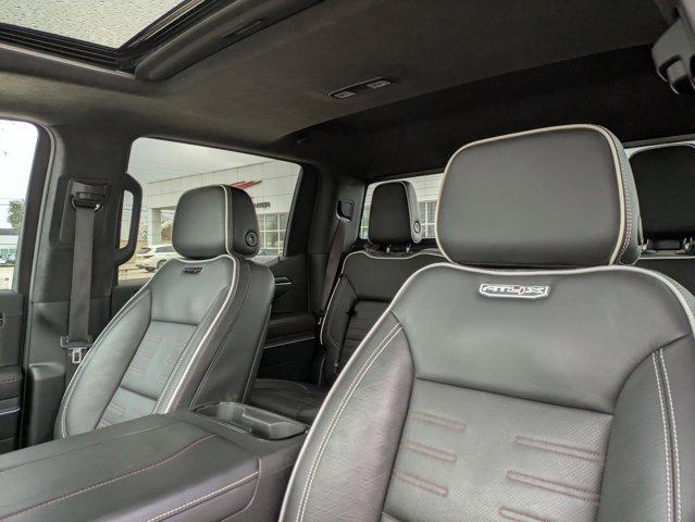 2023 GMC Sierra 1500 Vehicle Photo in SELMA, TX 78154-1459