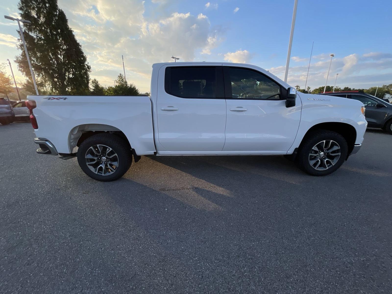 2024 Chevrolet Silverado 1500 Vehicle Photo in BENTONVILLE, AR 72712-4322