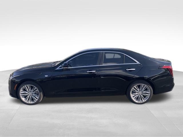 2025 Cadillac CT4 Vehicle Photo in DELRAY BEACH, FL 33483-3294