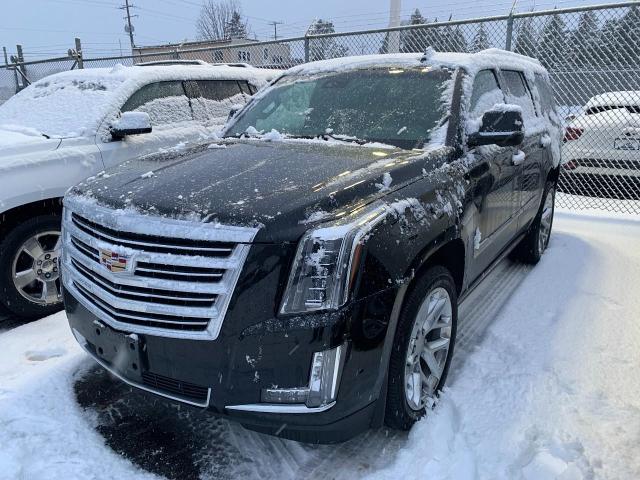 2019 Cadillac Escalade Vehicle Photo in APPLETON, WI 54914-4656