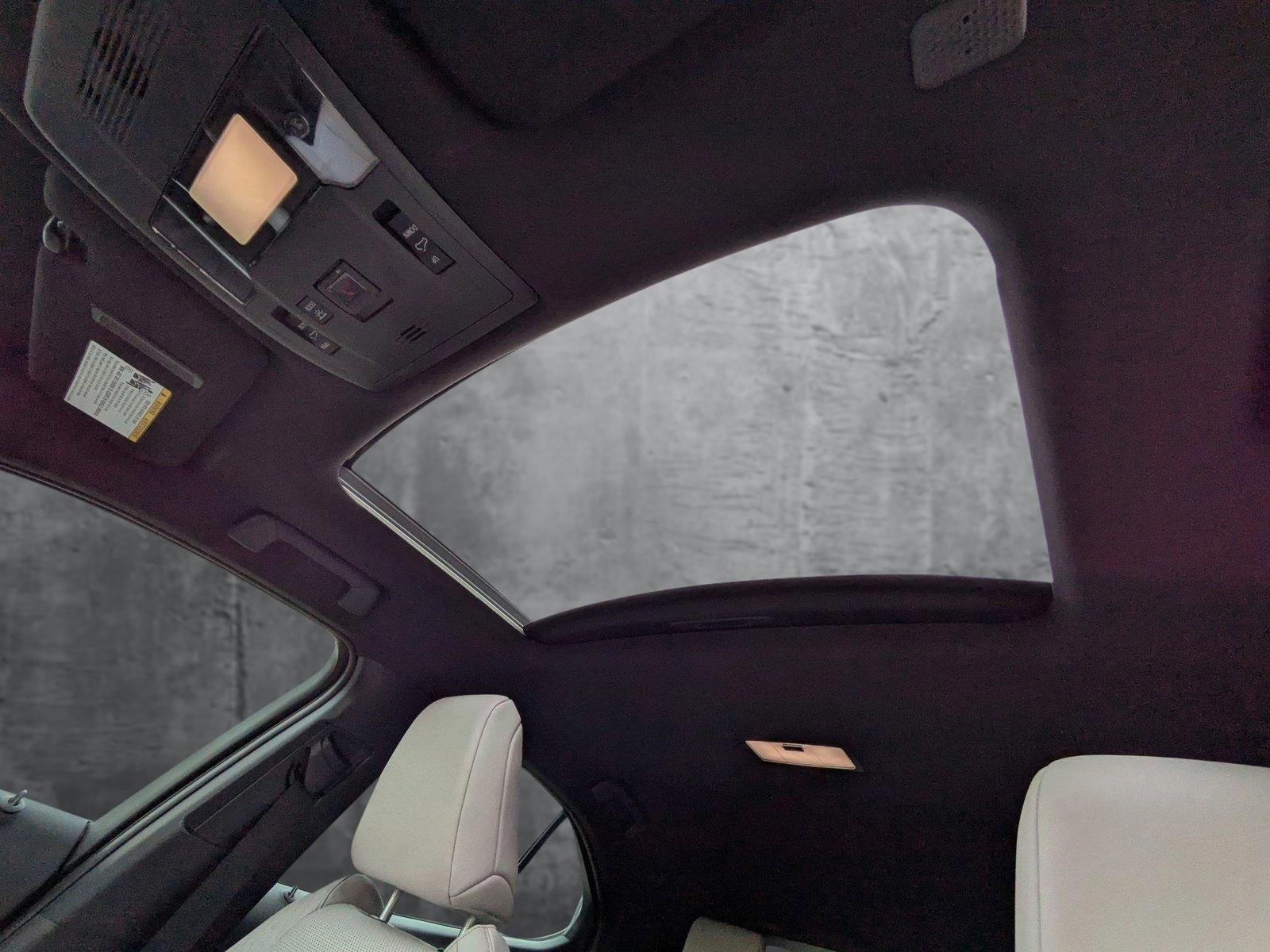 2022 Lexus UX 200 Vehicle Photo in Clearwater, FL 33761