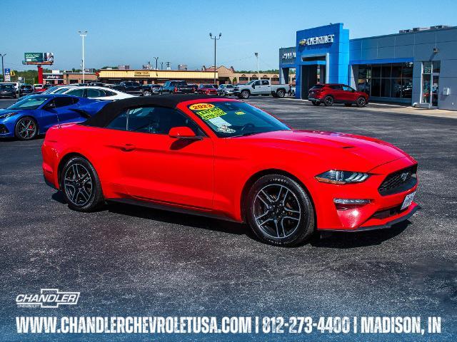 2023 Ford Mustang Vehicle Photo in MADISON, IN 47250-1611
