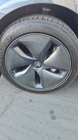 2019 Tesla Model 3 Vehicle Photo in San Antonio, TX 78230