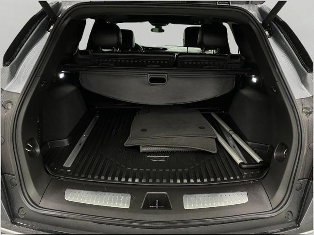 2021 Cadillac XT5 Vehicle Photo in Appleton, WI 54913