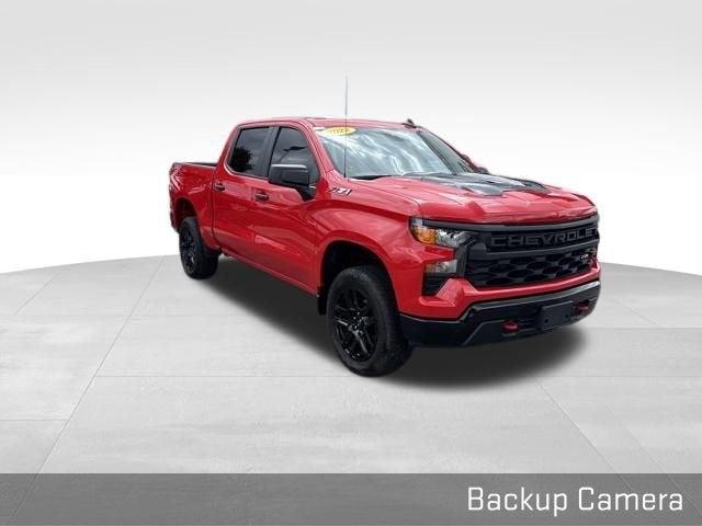 2022 Chevrolet Silverado 1500 Vehicle Photo in Fishers, IN 46038